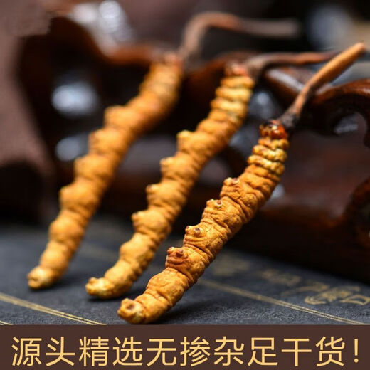 Peking Tongrentang Tong Qualität 2024 Erste Cordyceps 10 Geschenkboxen für kaputte Cordyceps ganze trockene Produkte SF Express Select 2/Gramm 30 Deluxe Pipe Pack Geschenkbox