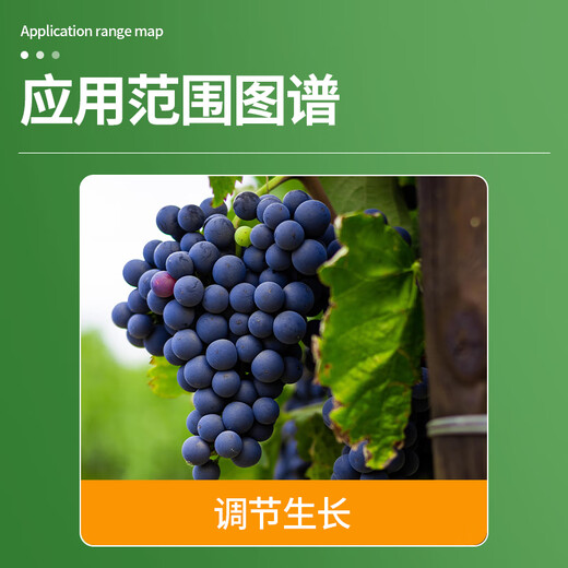 Lanyue Dagebao 3% gibberellic acid thiadiazole grape anti-fruit drop, fruit setting, fruit development and growth regulator 5.5g*10 bags