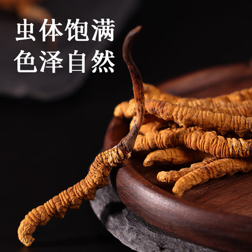Tongrentang brand Tibet wild Cordyceps sinensis about 3 roots/g12g about 36 high-end Cordyceps gift boxes for elders