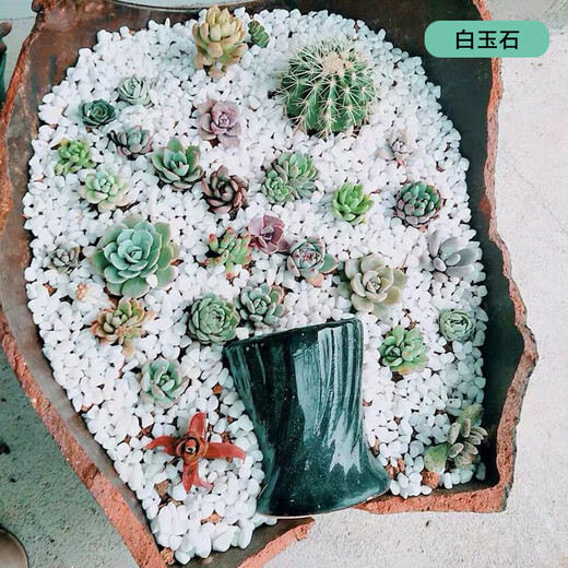 Hua Linglong, general-purpose succulent green plant paving stone, breathable, large pack of five decorative pure granular soil, 2 liters of ceramsite, about 600 grams