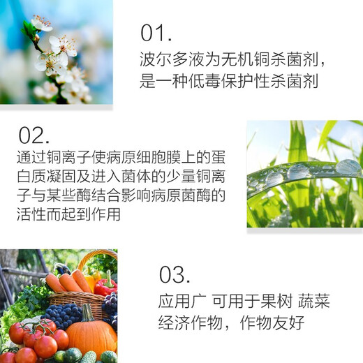 Puzhan 80% Bordeaux liquid vegetable and fruit tree downy mildew anthracnose ring spot wildfire pesticide fungicide 100g
