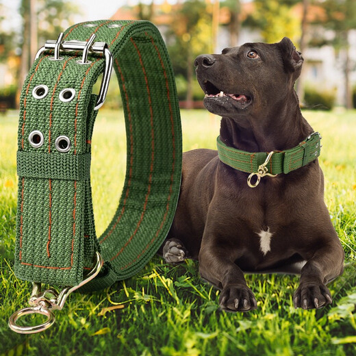 Gasgo dog collar, medium and large dog collar, pet collar, golden retriever Satsuma canvas dog collar, double row of holes