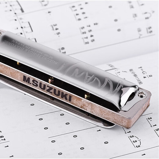 Suzuki japonais importé suzuki m-20 blues harmonica étudiant débutant adulte 10 trous blues m20 hole harmonica #d (eb)