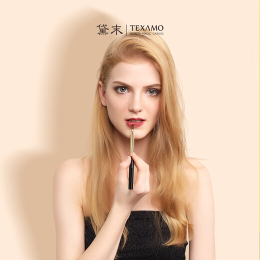 TEXAMO makeup brush can retractable lip brush. Person with concise mink lips makeup brush makeup tool Beauty makeup tools black gold lip brush