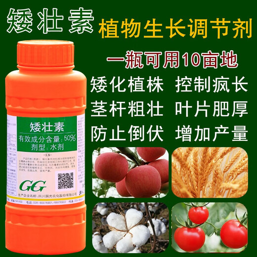 Guoguang Chymequat 50% Suppressant Vegetables, Fruits, Trees and Wheat Prevent Crazy Growth and Control Plant Growth Regulator 100ml