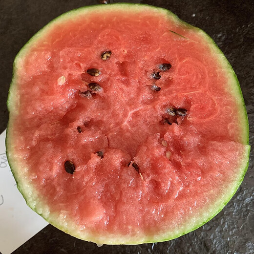 Zhongke Maohua melon and fruit seeds Jinmei 4K watermelon seeds with flower skin, red flesh, oval skin, thin toughness, storage and transportation resistance, easy to make fruit Jinmei 4K-50 capsules