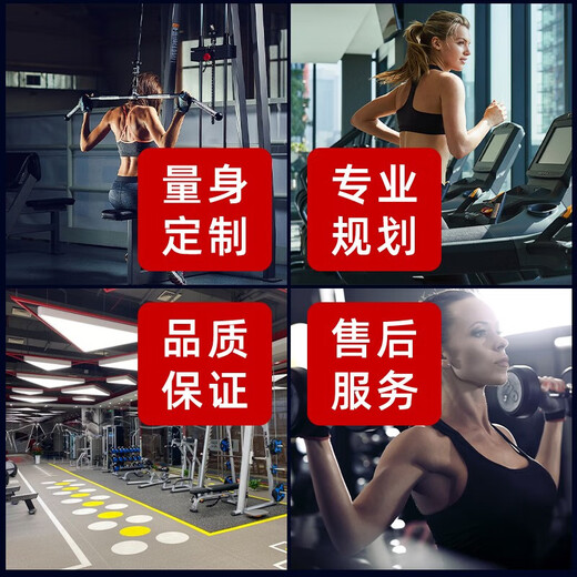 FANATICS疯拿铁 坐姿推胸训练器健身房俱乐部商用健身器材胸部训练机 FS-9923坐姿推胸训练机