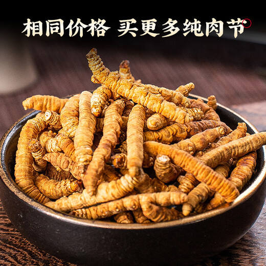 同芙 冬虫夏草断草10g约20根 全虫大号纯肉节 滋补营养补品自食性价比