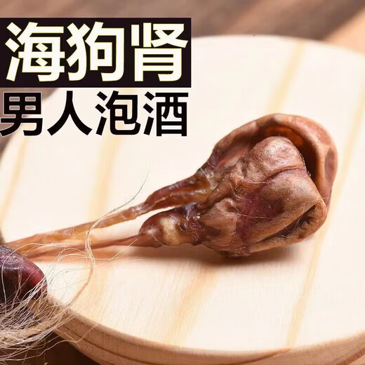 
Runhong Yongtang Haido Kidney Soaked Wine Chinese Herbal Medicinal Haidog Whip [Rare] Haidog Kidney One Pair 100g [60g] Haidog Kidney One Pair / Two Rods