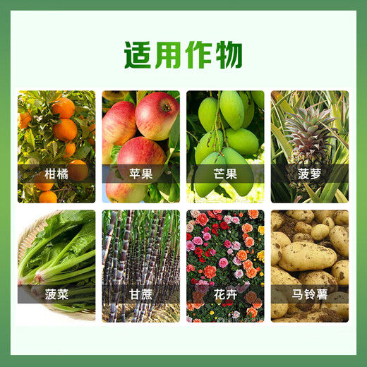 Guoguang gibberellic acid gibberellin 920 growth regulator solution citrus flower and fruit preservation grape germination and antidote 50ml
