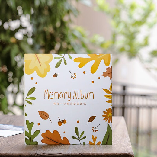 Kodak柯达相册簿插页式5英寸6英寸混装大容量影集18英寸家庭宝宝情侣纪念册装500张9891-193拾光回忆