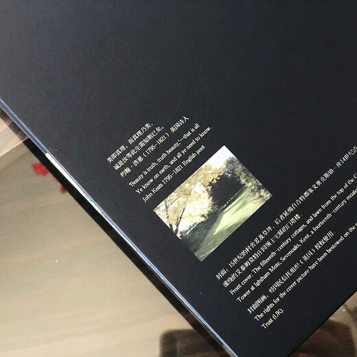 Diccionario Yuan Zhao inglés-francés americano Cubiertas nuevas y antiguas distribuidas aleatoriamente