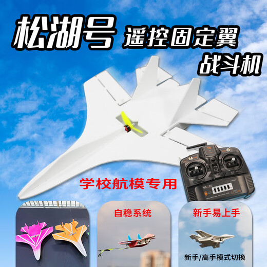 WLYX Songhu remote control fixed-wing aircraft model aircraft glider with a foam resistance for children's school competitions, loose parts + right-hand throttle remote control (needed to be assembled
