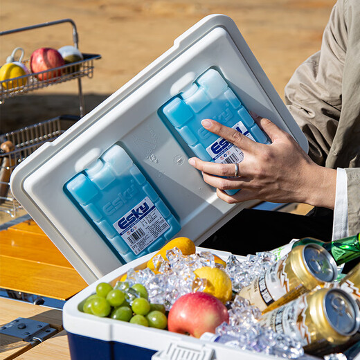 Eski insulated box car refrigerator large capacity refrigerated box outdoor camping picnic breast milk food stall portable foam box 12L high quality with ice bricks*2