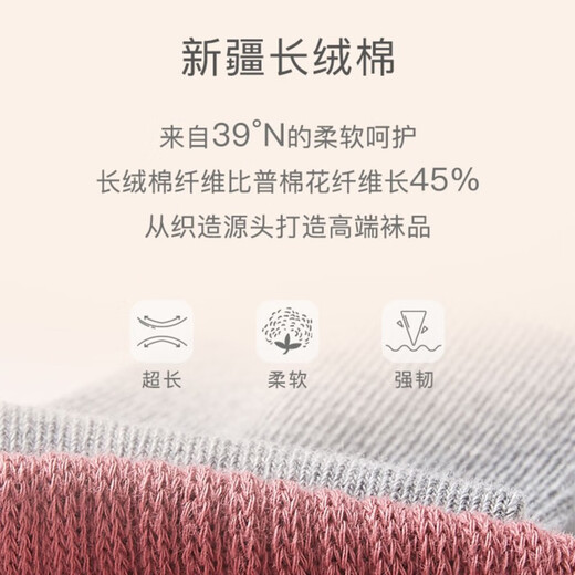 Nido Bear children's socks autumn and winter mid-length socks four-season cotton socks newborn breathable baby pile socks children