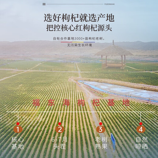 福东海 红枸杞 特大果级500克 精选宁夏中宁头茬红枸杞子免洗枸杞养生茶 【宁夏】红枸杞大果500g