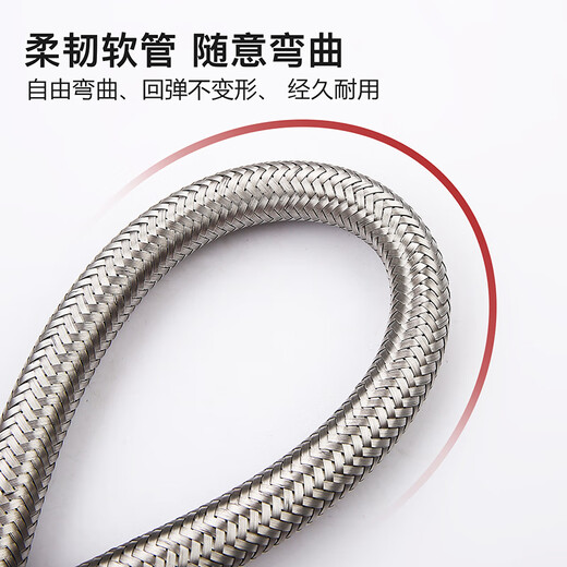 莱尔诗丹（Larsd）20CM进水软管延长管 水龙头进水管加长管 304不锈钢编织管BH702