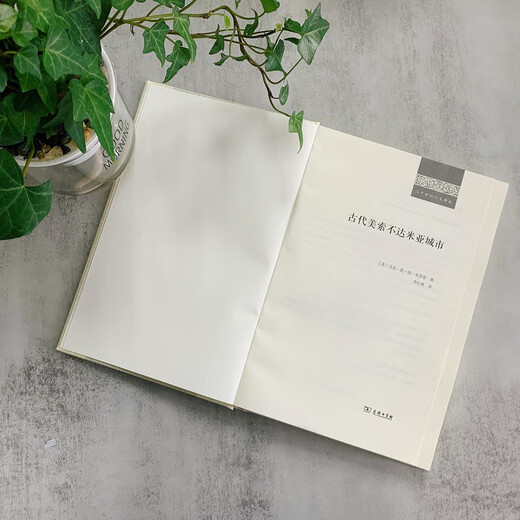 Ancient Mesopotamian Cities (20th Century Humanities Translation Series)