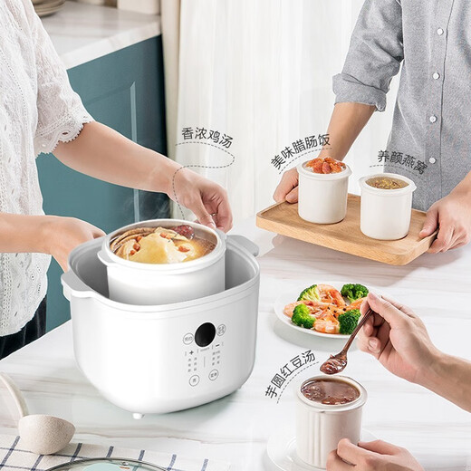 Tianji water-proof stew electric stew pot 4L steam bird's nest large capacity electric stew pot that can steam and stew household ceramic soup pot one pot five bladders with steamer multifunctional porridge artifact 40AG rapid steam-4L
