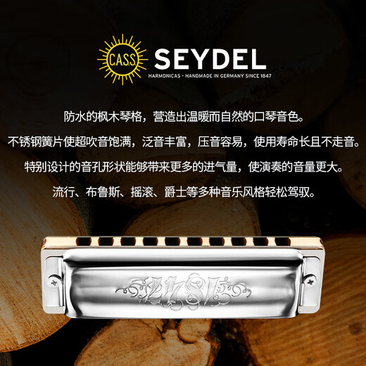 SEYDEL德国进口SEYDEL赛德 十孔10蓝调成人口琴 1847 CLASSIC 10孔LC调
