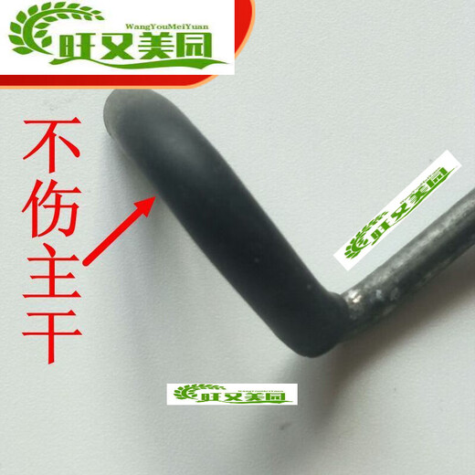 蓝彩何2023新款果树拉枝神器果树开角器拉枝器定型器压枝器S型别 改进12200根