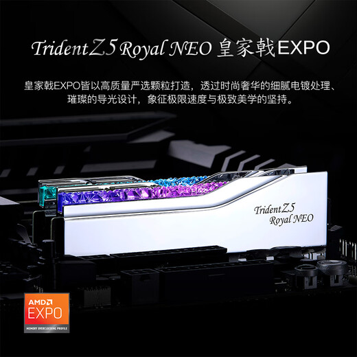 G.SKILL (G.SKILL) 32GB (16Gx2) set DDR5 6000 frequency desktop memory stick-Royal Halberd EXPO version RGB light strip-Silver/C28