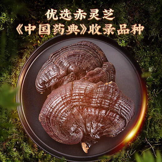 雷允上 破壁灵芝孢子粉正品保证蓝帽认证增强免疫力恢复元气健康身体 破壁灵芝孢子粉 礼盒装 100克 25克*4