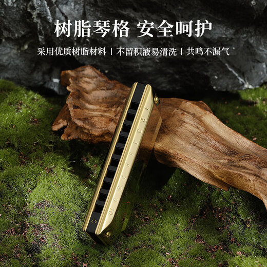CLARKE英国克拉克10孔布鲁斯口琴十孔蓝调高级成人儿童初学者专业演奏