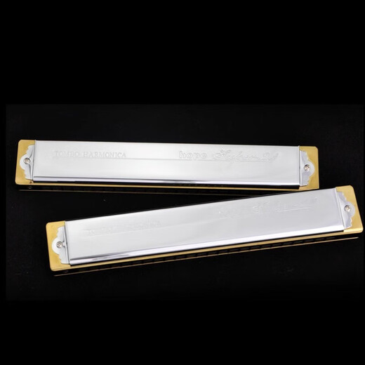 
TOMBO (TOMBO) Japan TOMBO6624S for beginners and adult advanced performance 24 holes polyphonic 12-tune harmonica D tune