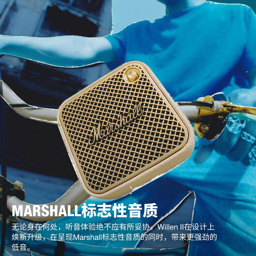 Marshall Wille II Lautsprecher tragbar