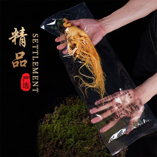 
IGIFTFIRE ginseng wine authentic Northeast Changbai Mountain wild ginseng is filled with more than 10 years of soaking wine [8 years of ginseng] Gross weight is about 250g per piece