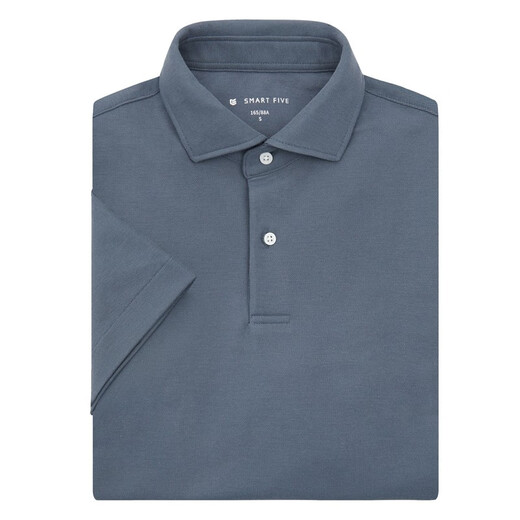 Staffel 5 Smart fünf schwere doppelt Perlen Kurzarm Polo-Hemd Herren Ice Seide rein weiße leichte Luxus-Hemd-Hemdkragen täglicher Pendler T Grey D753 XL (Gewicht empfohlen 76-85 kg)