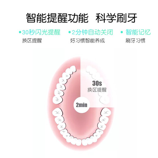 Yucca children's electric toothbrush growing infant toothbrush baby sonic luminous toothbrush 6 months 1-3-6-12 years old three-stage brush head 1 set (5.5-15 years old)