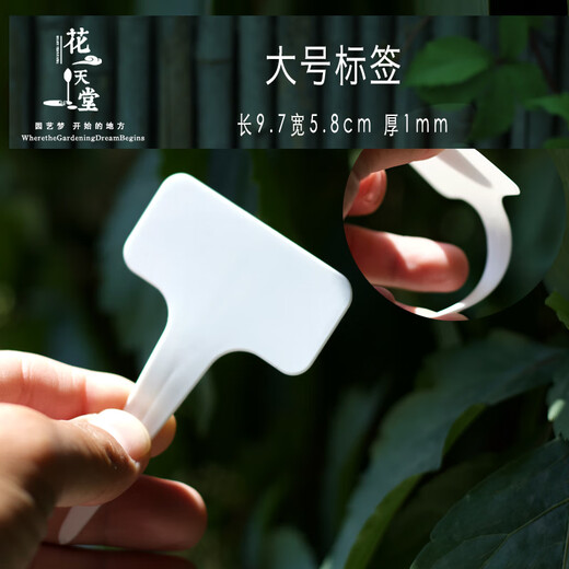 Transparent succulent label insert card T-shaped gardening tools plant flower planting sowing seedlings plastic label identification plate large white 100 pieces free black double-ended pen width 5.8 height