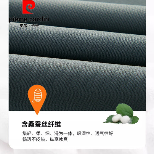 皮尔卡丹（pierre cardin）官方高端桑蚕丝短袖恤男士夏季薄款潮流透气冰圆领休闲运动上衣体 品牌旗舰D13601黑色 165/M