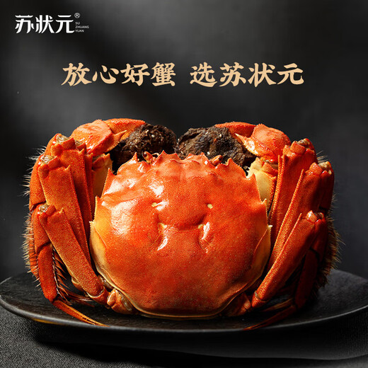 Live crabs Su Zhuangyuan fresh hairy crabs in stock all male crabs 5.0-5.3 taels 8 fresh crabs with ropes and heavy seafood gift boxes sent directly from the source