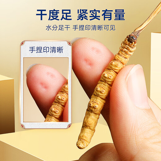 Lila und blaues Blumenmeer Cordyceps sinensis Erst getrockneter Cordyceps Tonikum für Urlaubs Geschenkbox 3 Stück/g 30 Gramm [ausgewählt und Mengenpaket]