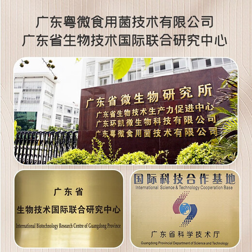 粤微牌灵芝孢子油软胶囊增强提高免疫力辅助保肝护肝破壁孢子粉精华萃取营养保健品探病送礼含量25% 1盒*90粒【送36粒共126粒】