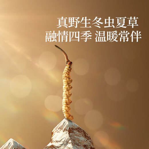Tongrentang Brand Tibet Wild Cordyceps Sinensis Около 2 корней/G30G Около 60 корней.