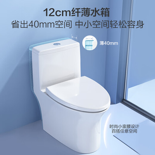 Ensemble de salle de bain siphon toilettes sous pression armoire de salle de bain 171-400 Distance de fosse-916-6197-080
