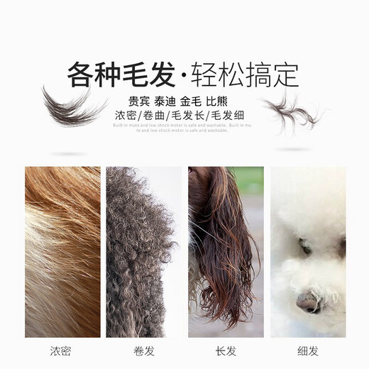 MADAN (entry-level) pet scissors, pet grooming practice curved scissors, fishbone 7-inch professional examination scissors, 7-inch curved scissors