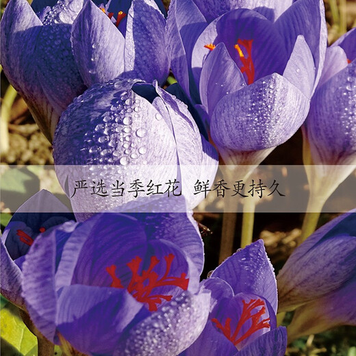 
Crystal grass Domestic special saffron 1g Selected saffron in Tibet Full-length red silk health nourishing goddess gift