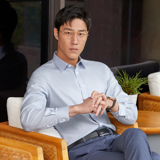 YOUNGOR long-sleeved shirt men's plain DP no-iron shirt cotton fabric comfortable, breathable, flat, anti-wrinkle and easy to care for Lake Blue 41 (175/96A)