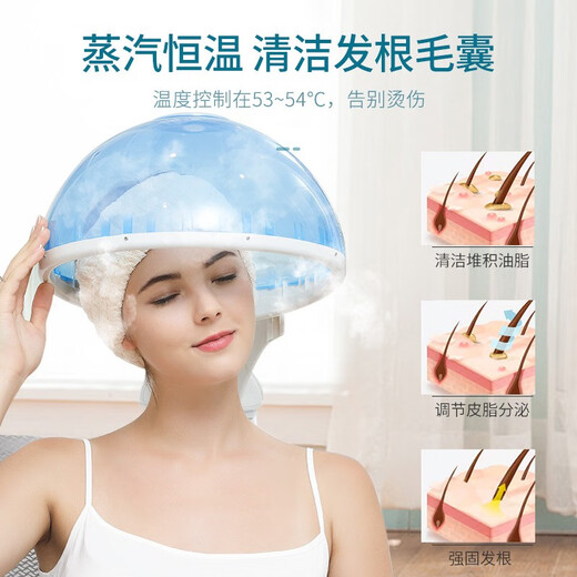 Golden Rice Evaporation Cap Baked Oil Facial Steamer Hydrating Device Thermal Spray Machine Beauty Equipment Beauty Salon Special Ion Whitening and Rejuvenation KD2328A White Thermal Spray with Baked Oil Cap