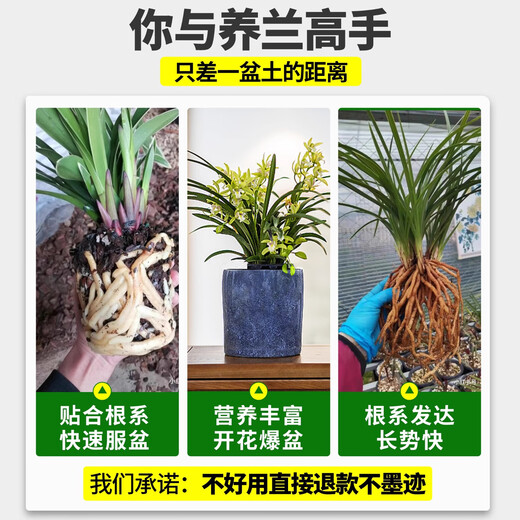 Linya orchid special soil nutritional soil planting material Clivia Phalaenopsis orchid soil particles high-end pine bark orchid standard orchid special soil 6L