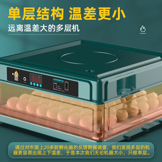 Water bed duck goose small rutin chicken incubator egg incubator incubator small household type fully automatic intelligent 24 pieces fully automatic dual power (display temperature + days)
