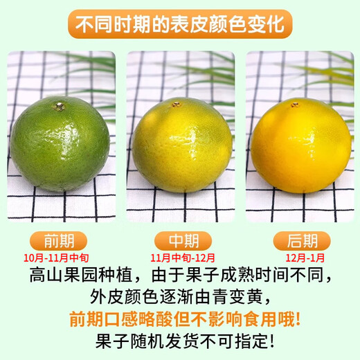 甜萌果蔬正宗广西皇帝柑橘子贡柑贡橘新鲜水果当季现摘水果礼盒中秋送礼 5斤精选装【单果约60mm+】净重4.5斤