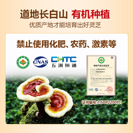 
Jinglemei [180 capsules overload] Break the wall Ganoderma lucidum spore powder capsule Changbaishan enhances immunity and nourishment for middle-aged and elderly people 180 capsules*12 boxes/year amount