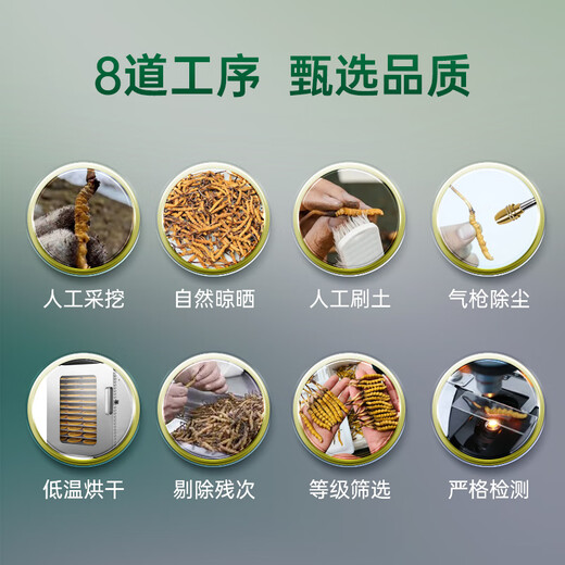藏汐堂冬虫夏草3根/g 30克 90根装头期干虫草高海拔冬虫草滋补礼盒