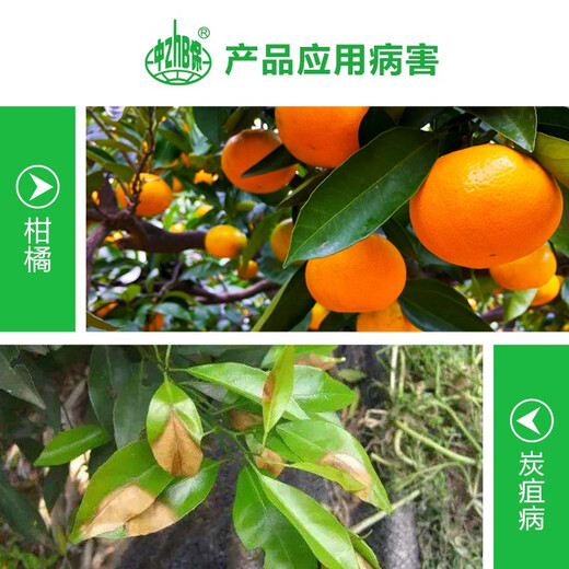 Hulian 450g/L prochloraz anthracnose pesticide prochloraz fungicide fruit tree citrus postharvest preservative 1000ml*1 bottle